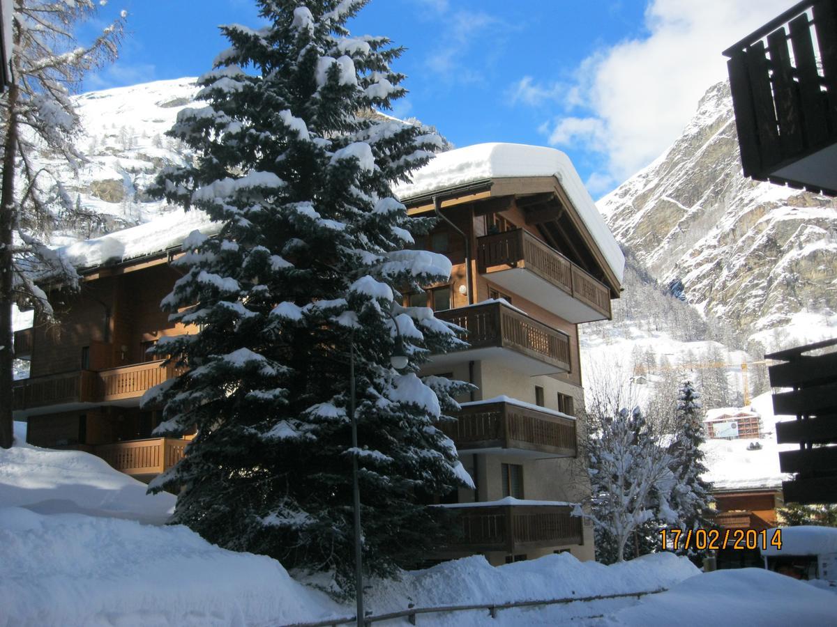 Apartment Balma 3 Rooms Zermatt Exterior photo